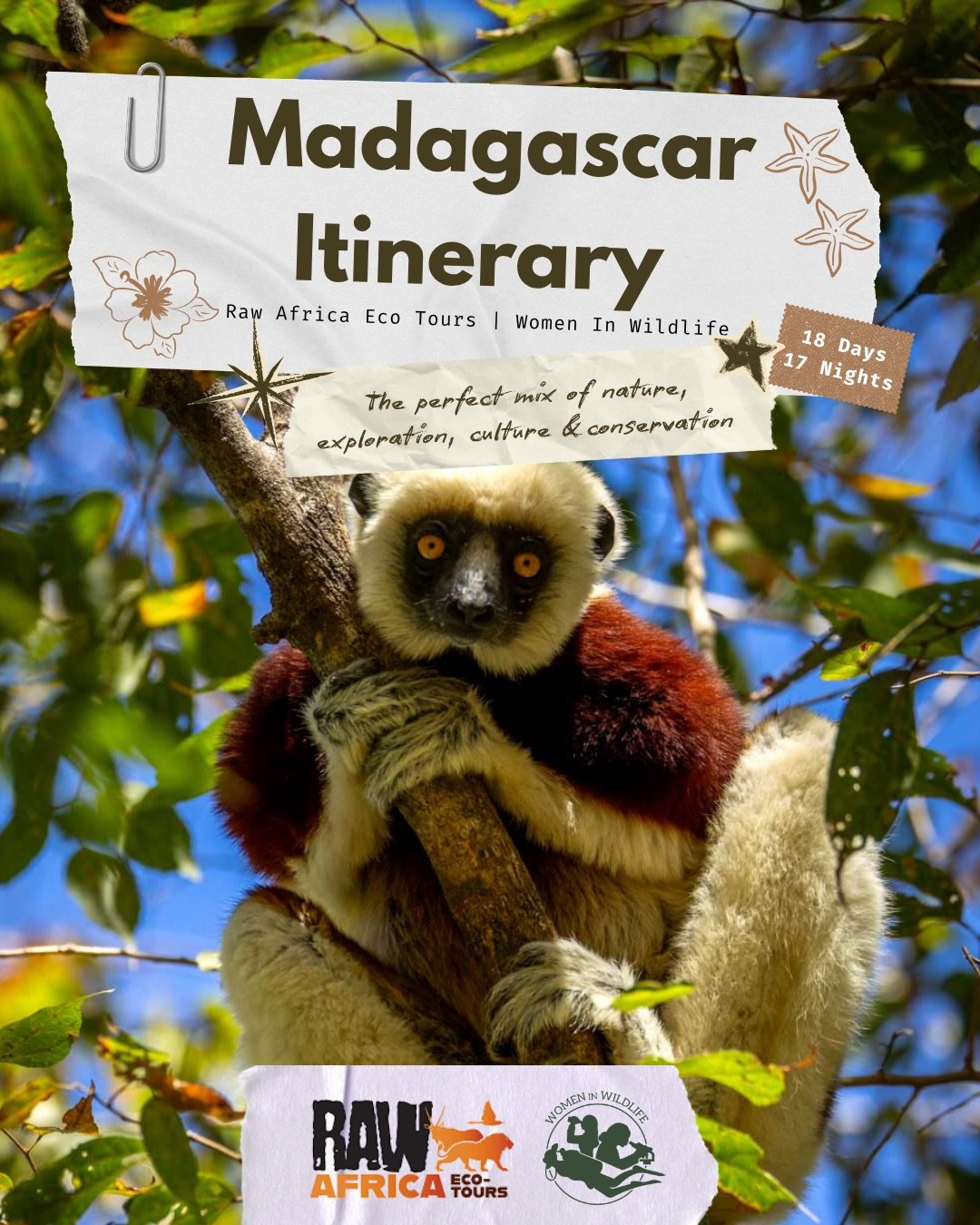 WIW is headed to Madagascar 🇲🇬 

Join us in Madagascar with @raw_africa_ecotours next June! 🍃

This adventure packed itinerary has everything from in field primate data collection, learning from the leading women in conservation in Madagascar, get