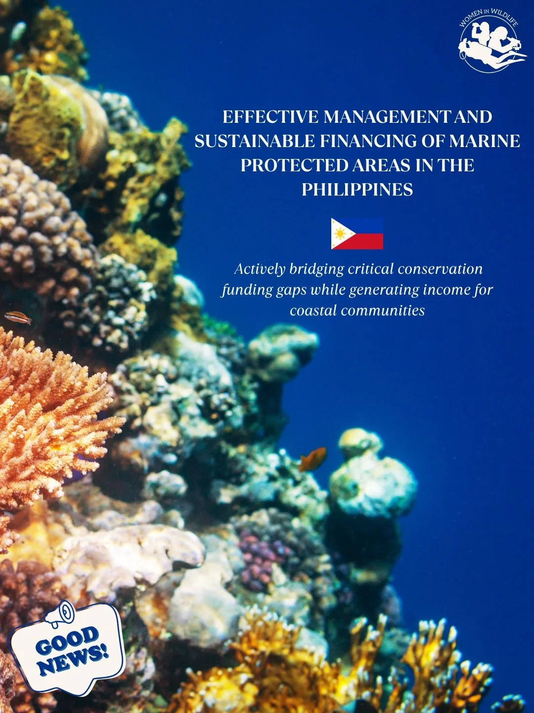 📣 GOOD NEWS FROM THE PHILIPPINES 🇵🇭

Protecting marine areas while giving back to the communities 🪸 

#womeninwildlife #philippines #coralreef #marineanimals #ocean