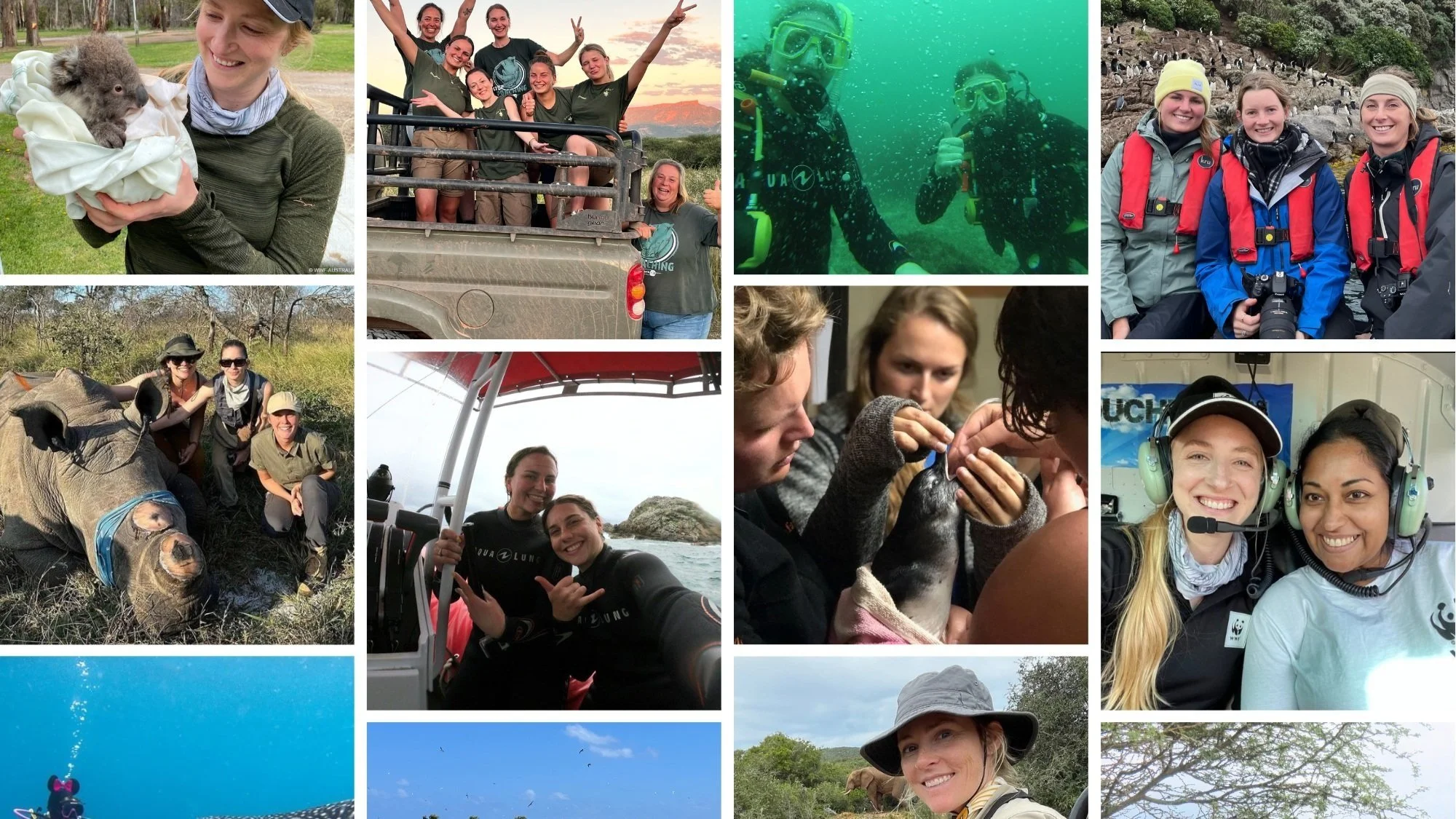 A collage of outdoor adventure activities, wildlife encounters, and group photos of smiling people, including scuba diving, safari, animal rescue, and boating excursions.