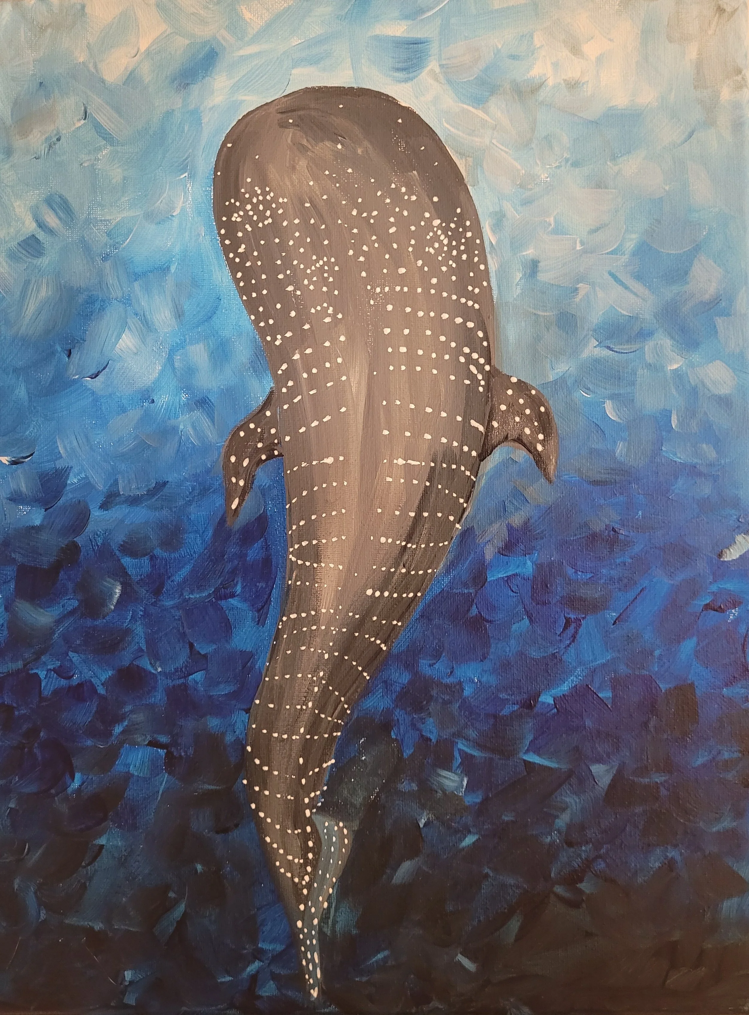 Whale shark.jpg