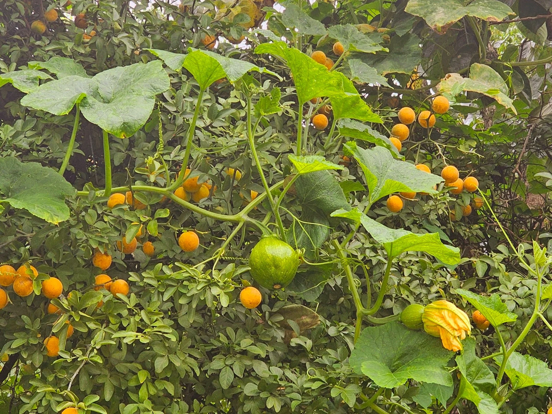 20241014_122455.jpg