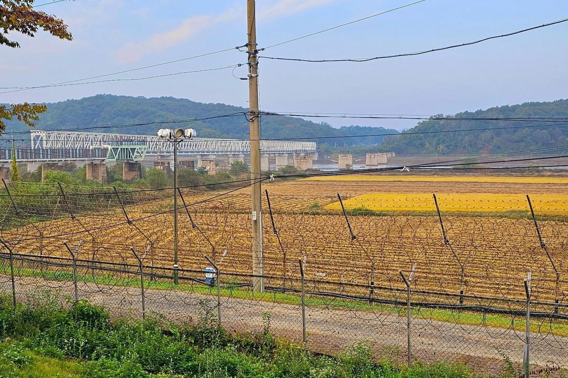 20241017_080459.jpg