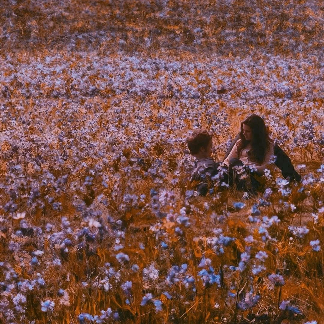 Tiramisu
9/30/24
_

Tiramisu 
thinking about you 
All my best songs
Always 
about you 
writing my little poems 
Singing my pretty little songs 
About none other than 
You 
In my babydoll dresses
High Heels 
Hair straightened
Starlight that&rsquo;s In