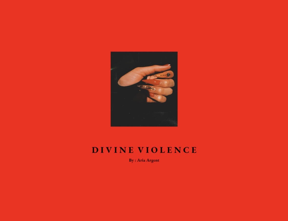 Divine Violence_2023_Cover.jpeg