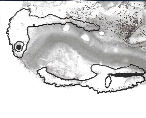 Graphic design class #14.png