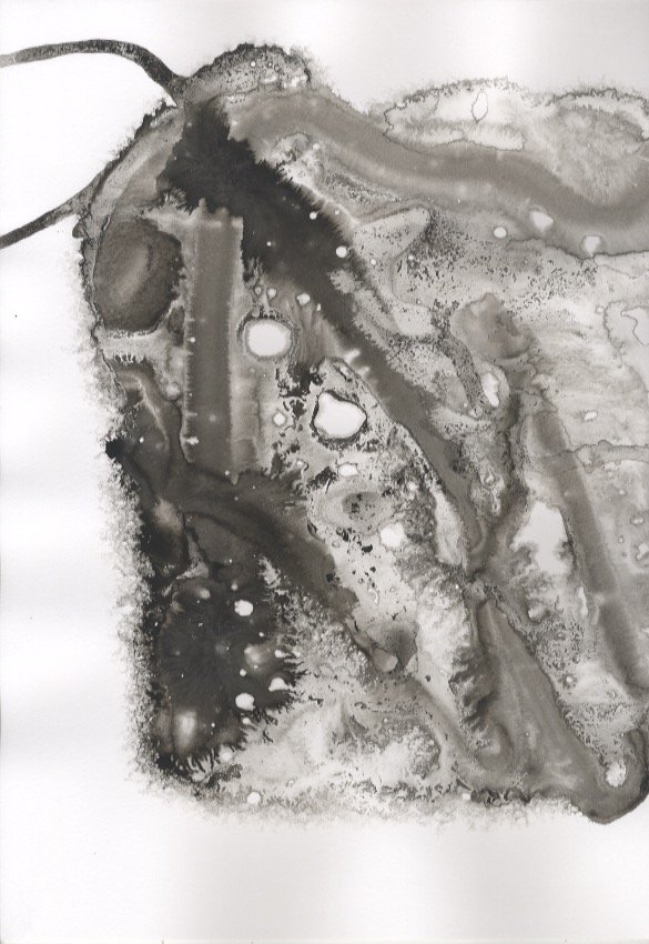 Paint Splosh #4.jpeg