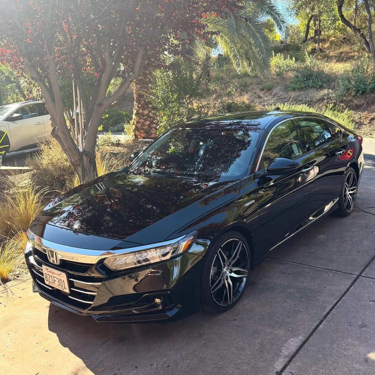 Full Service Detail + Leather Conditioning for this Accord. Get your vehicle detailed - vincesautodetailing.com

(530)433-9723
