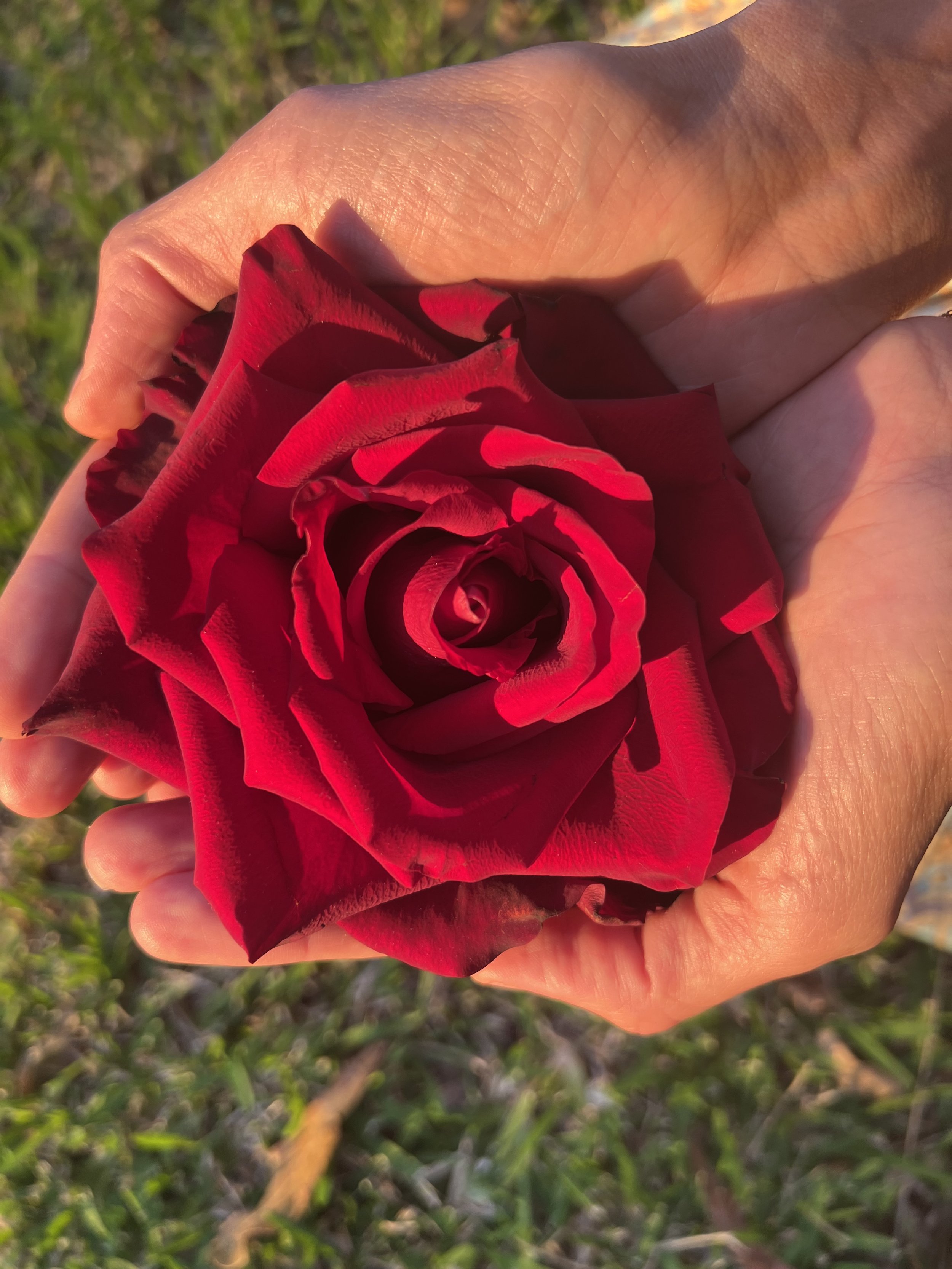 Light Language Transmission | Attunement | Soul | Light Code