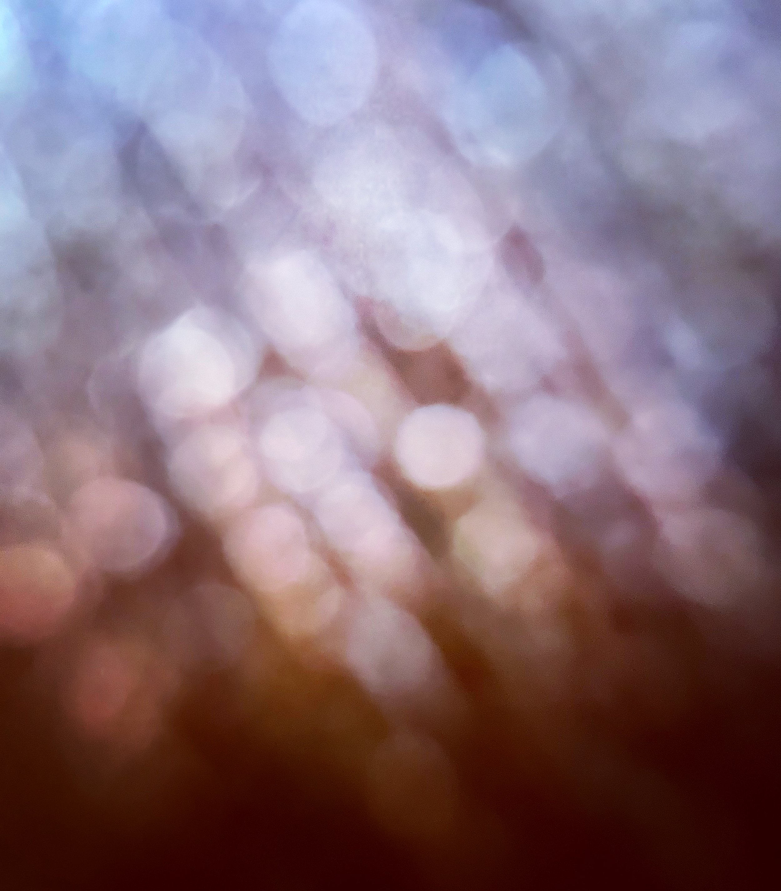 A9ECB89C-2BD8-4EDE-B2A3-0964B38EB6A1.jpeg