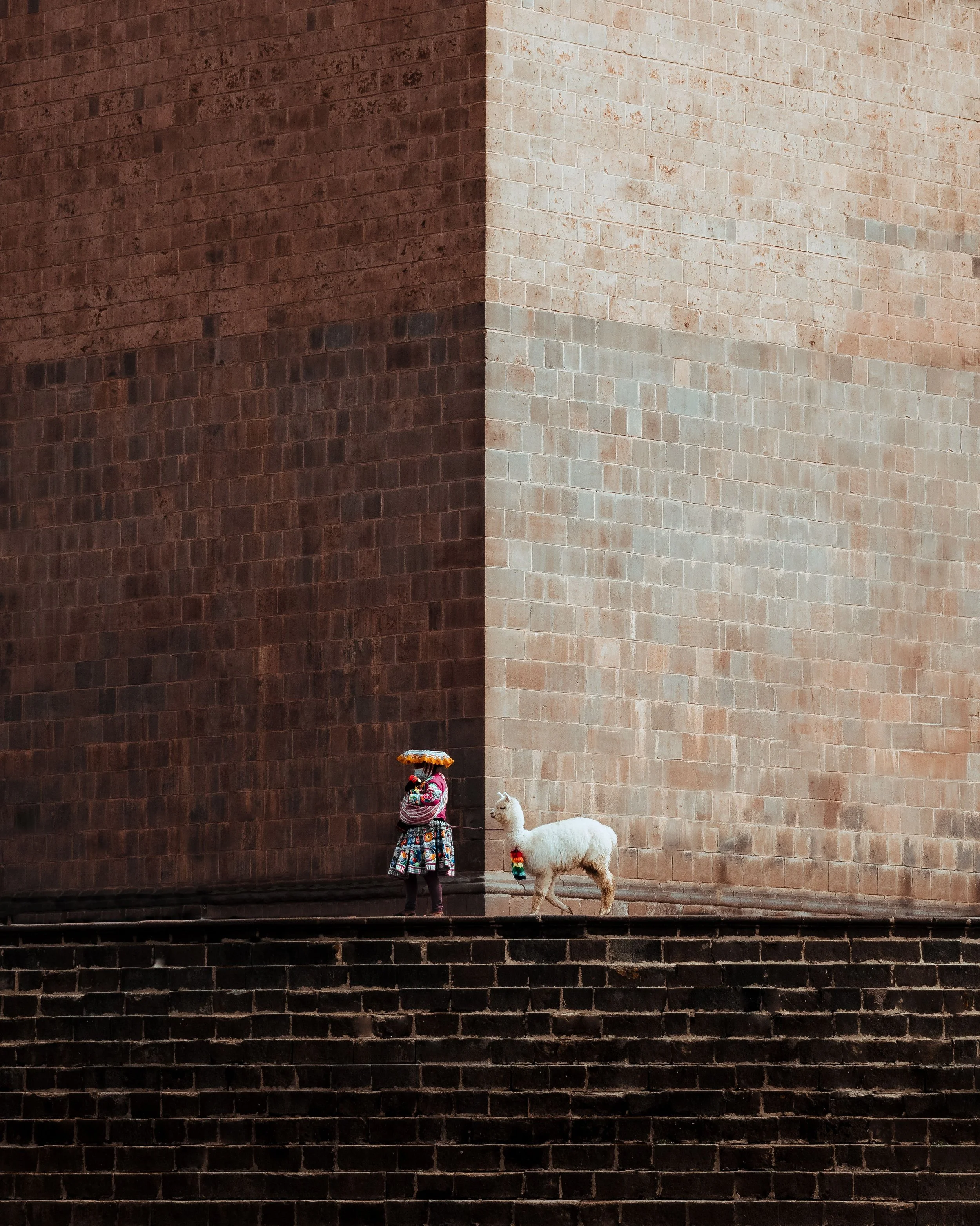 A Peruvian woman in traditional dress walking with an alpaca along a stone wall in Cusco, Peru