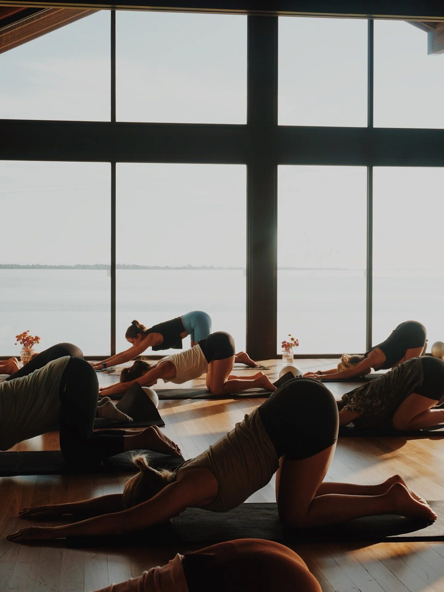 Yoga with Netti 🌸
Sunday 26th Oct | 9:30am
For all ages, stages, and abilities a welcoming space for every body ✨
No experience needed, simply come as you are.
Secure your mat via our momence app or recoverhealth.com.au