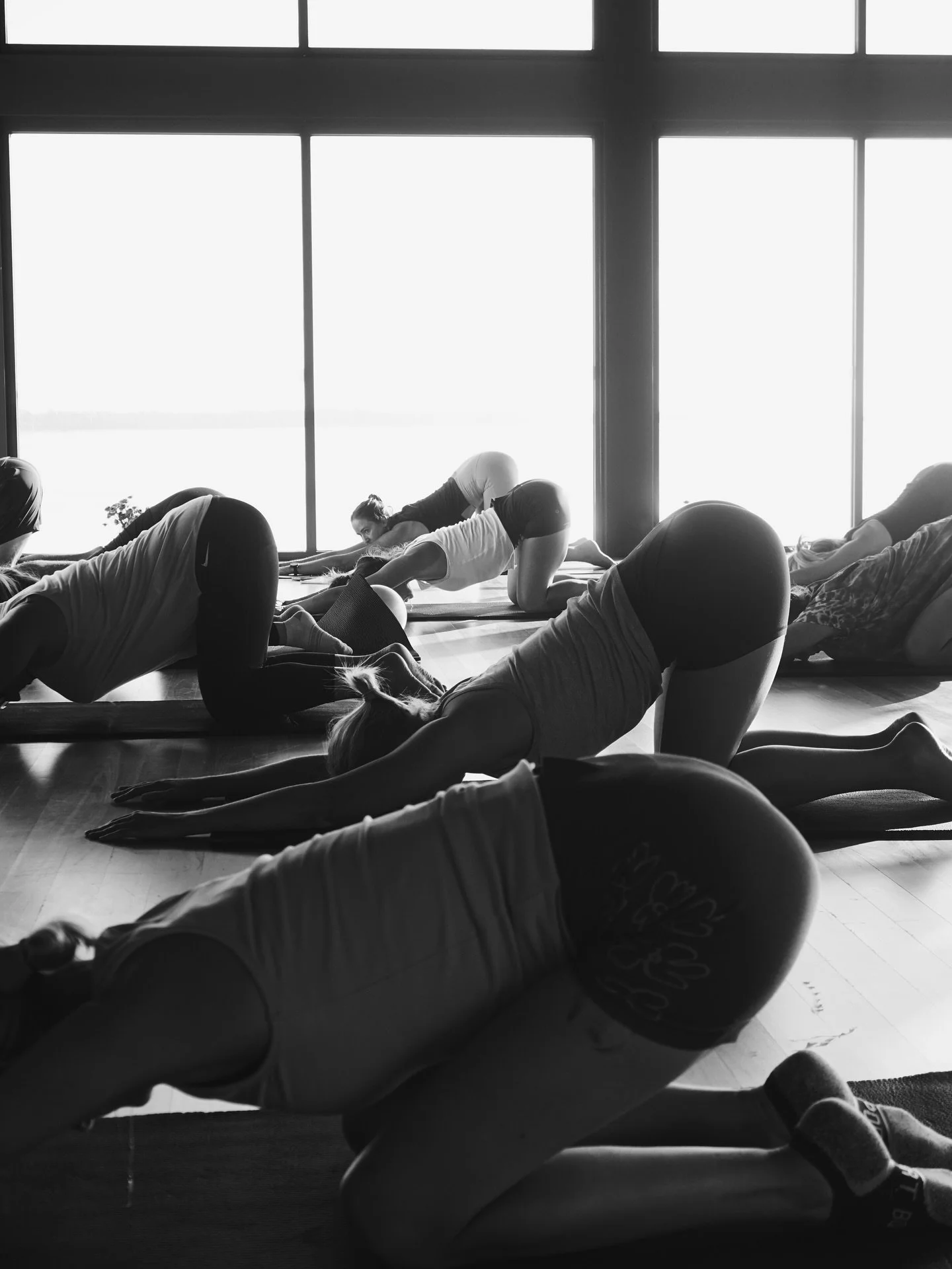 Autumn Restore Series 🤎

As the air cools and the pace softens, autumn invites us to slow down, ground and restore. 

Join Netti for a 3-part seasonal mini retreat designed to support nervous system balance and steady energy through the cooler month