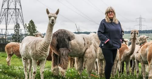 SSEN appeals Angus Council refusal of ‘industrial carbuncle’ Tealing substation