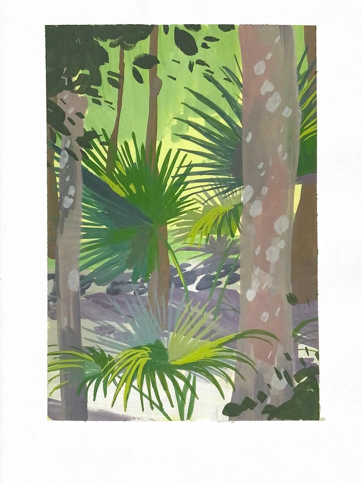 I&rsquo;m working on organising my files and found this jem I never shared - from Chitwan national park in Nepal 🦚🦏🐅 I challenged myself to draw foliage and find an interesting composition 🌿