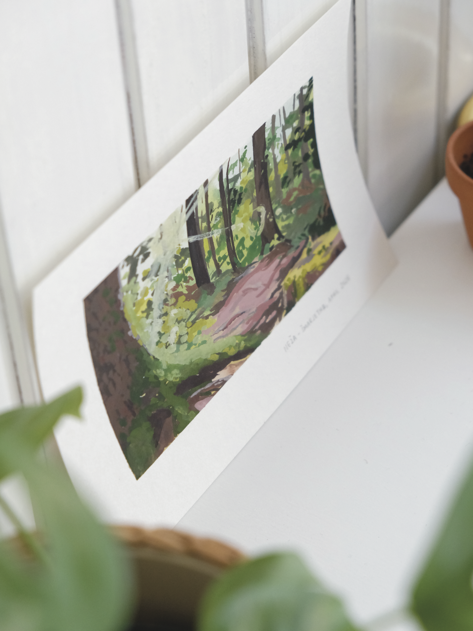 Shop-product--forest original-5.png