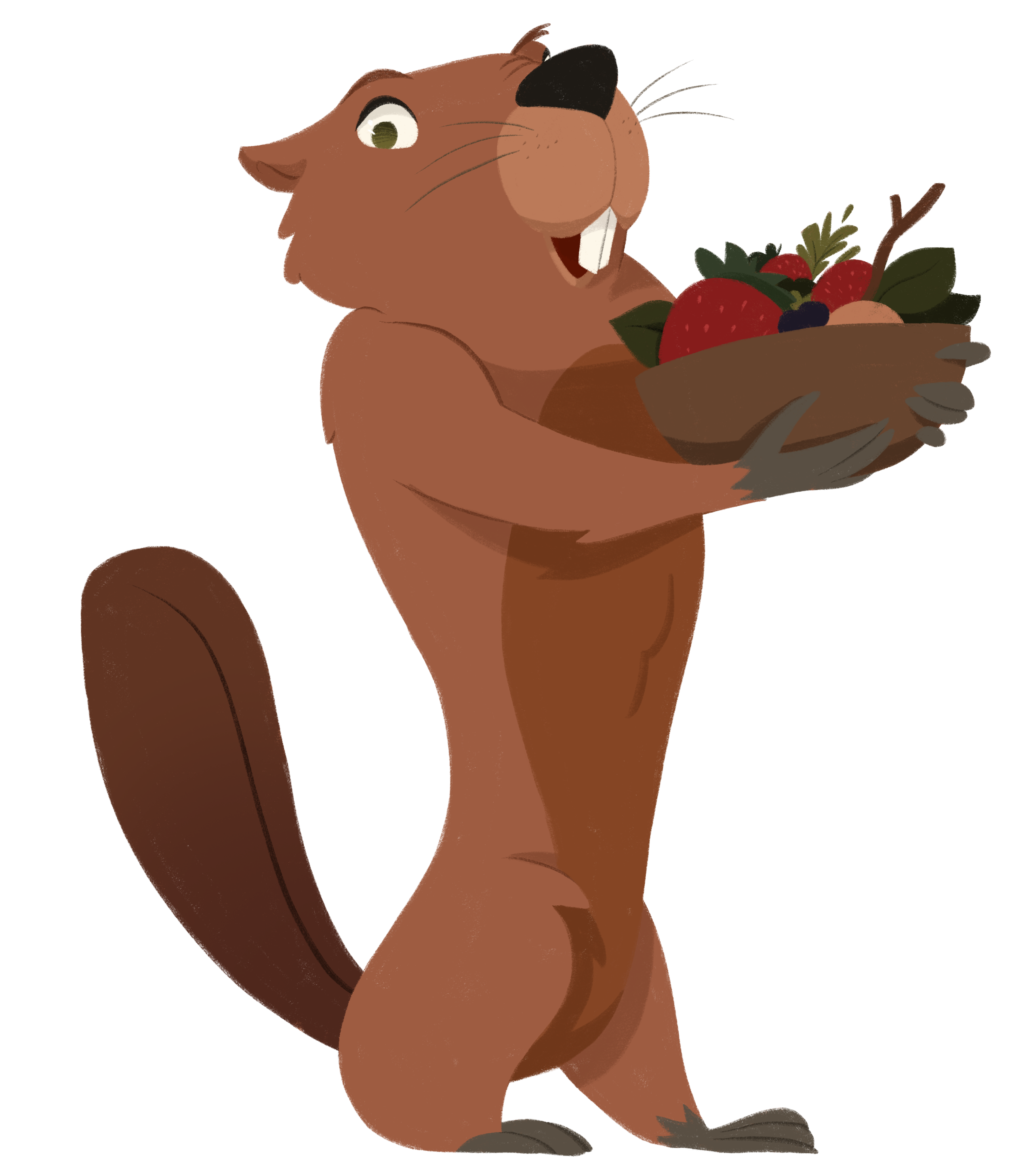 PIP_color_transparent.png