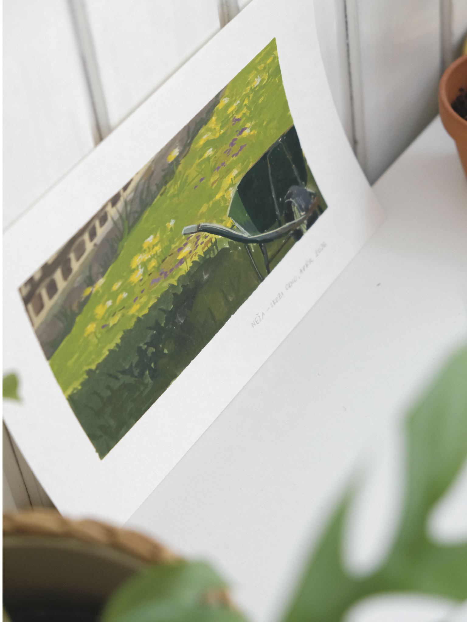 Shop-product--dandelions original-5.png