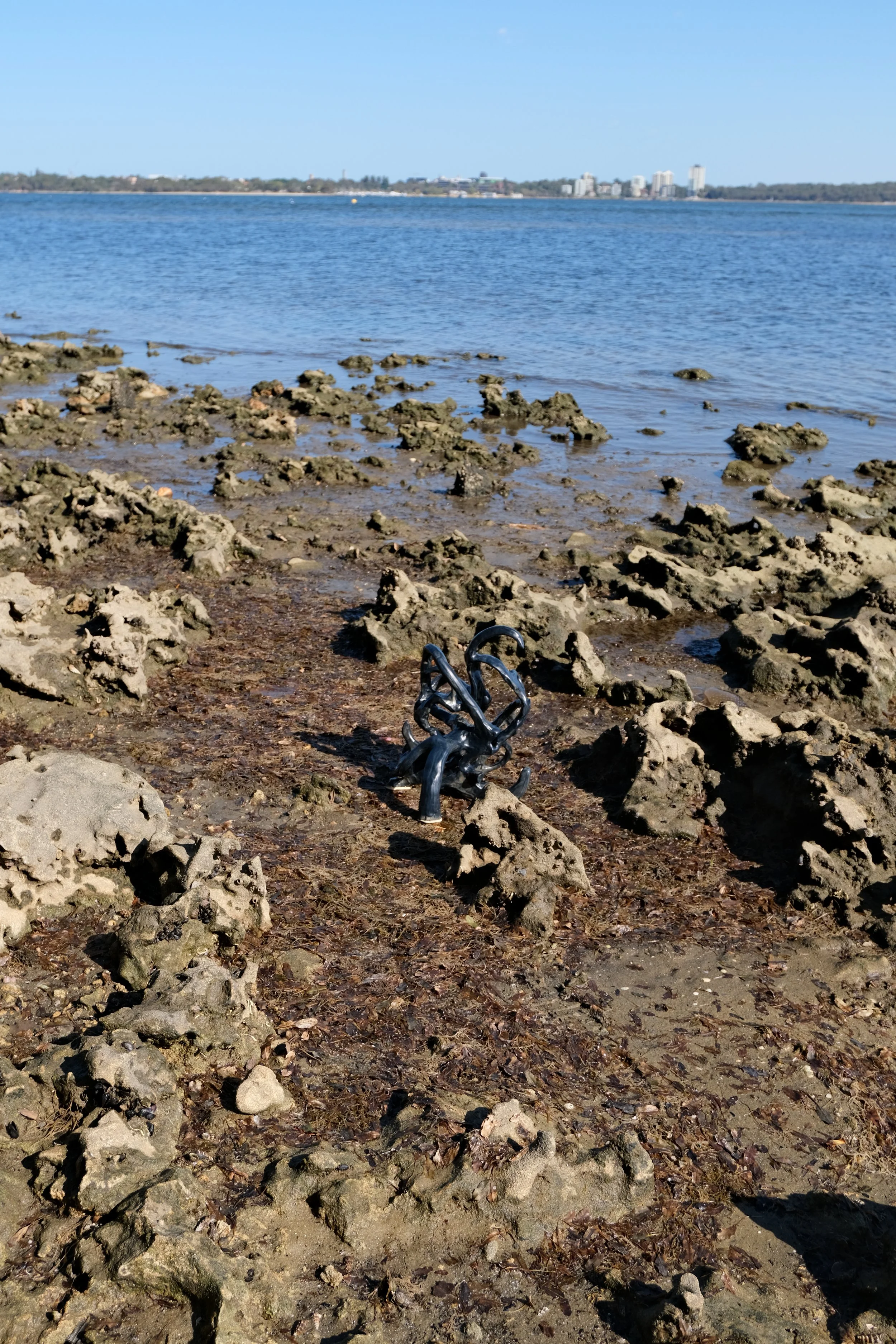 DSCF0971.JPG