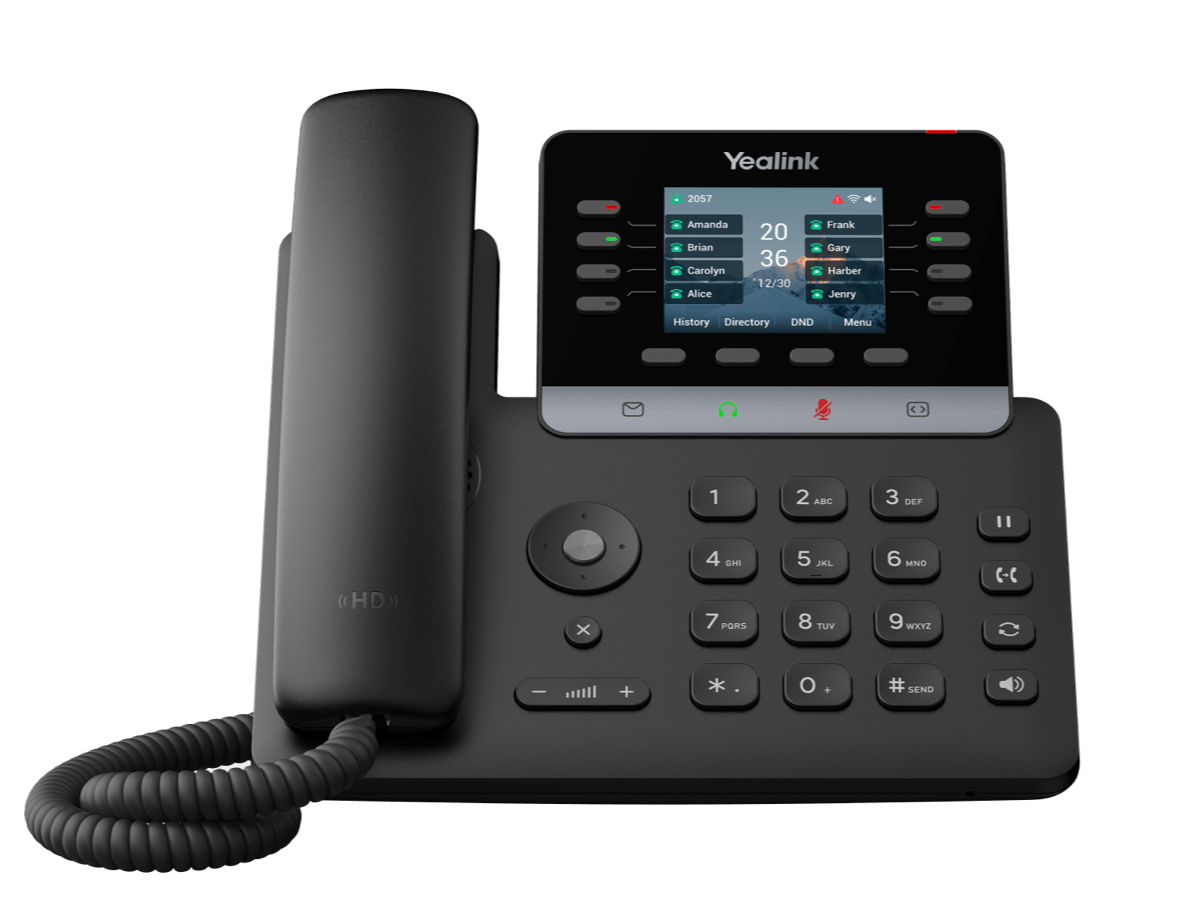 Business Phone T73W