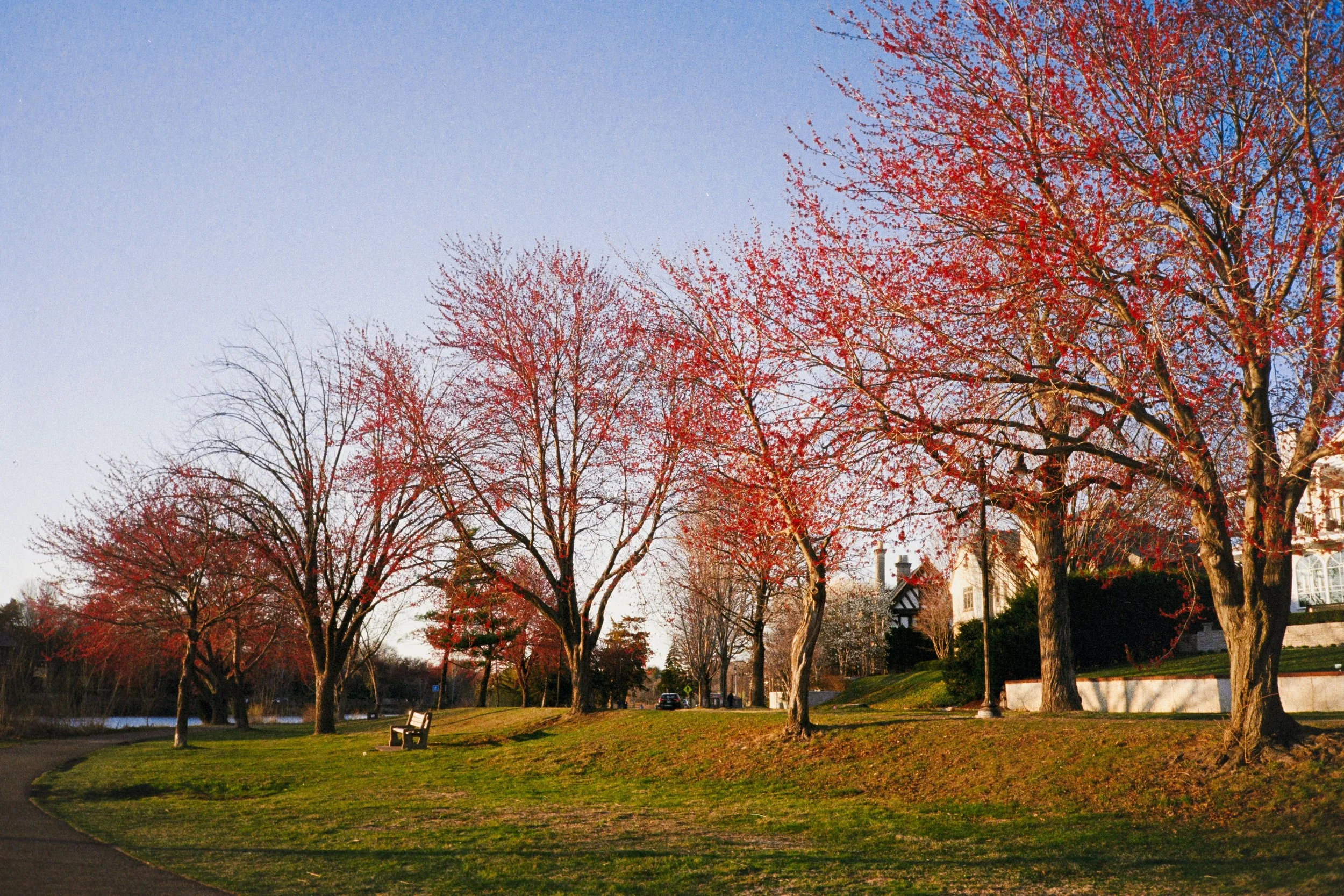 DSC_0938.jpeg
