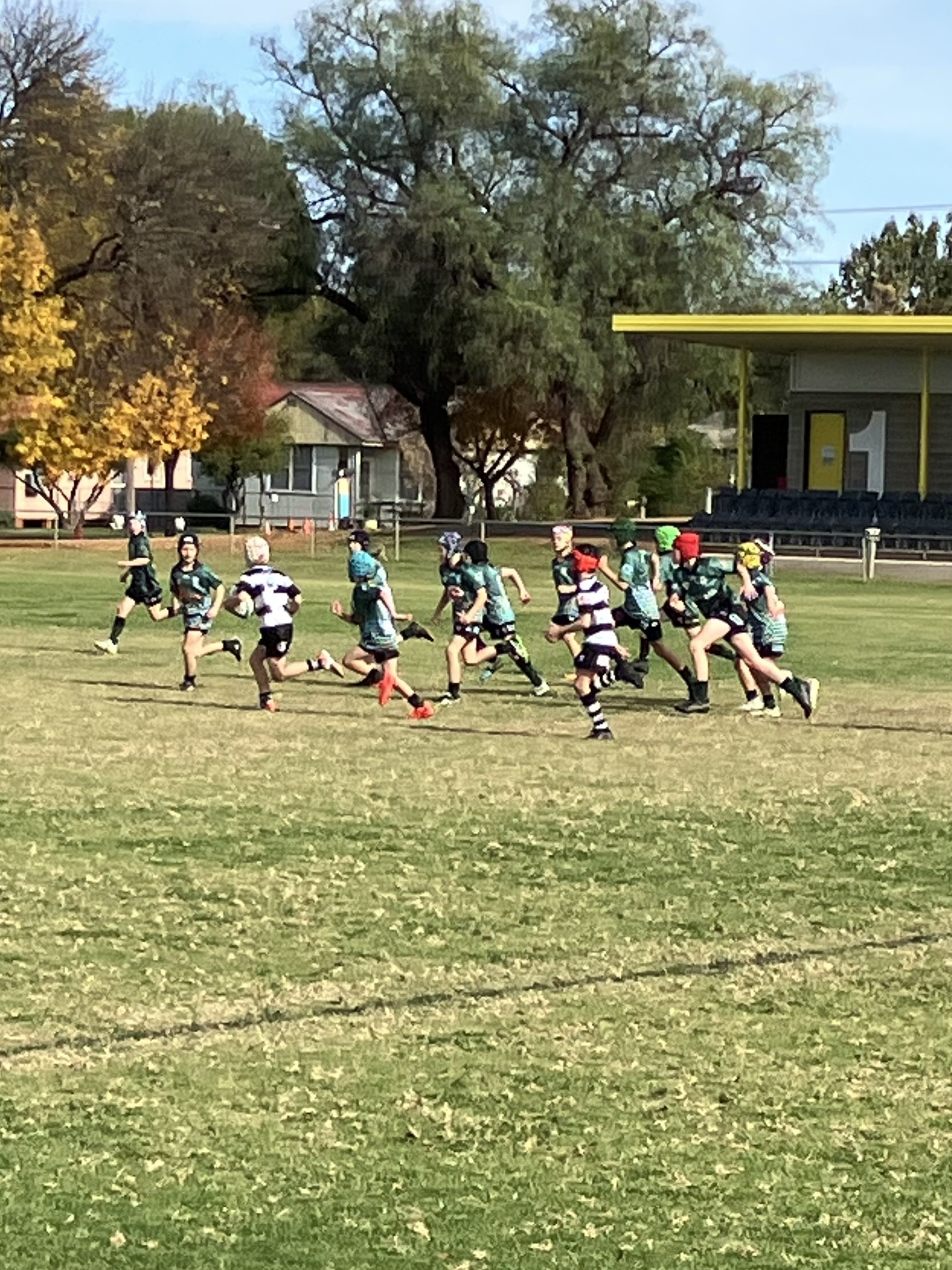 IMG_0874.jpeg