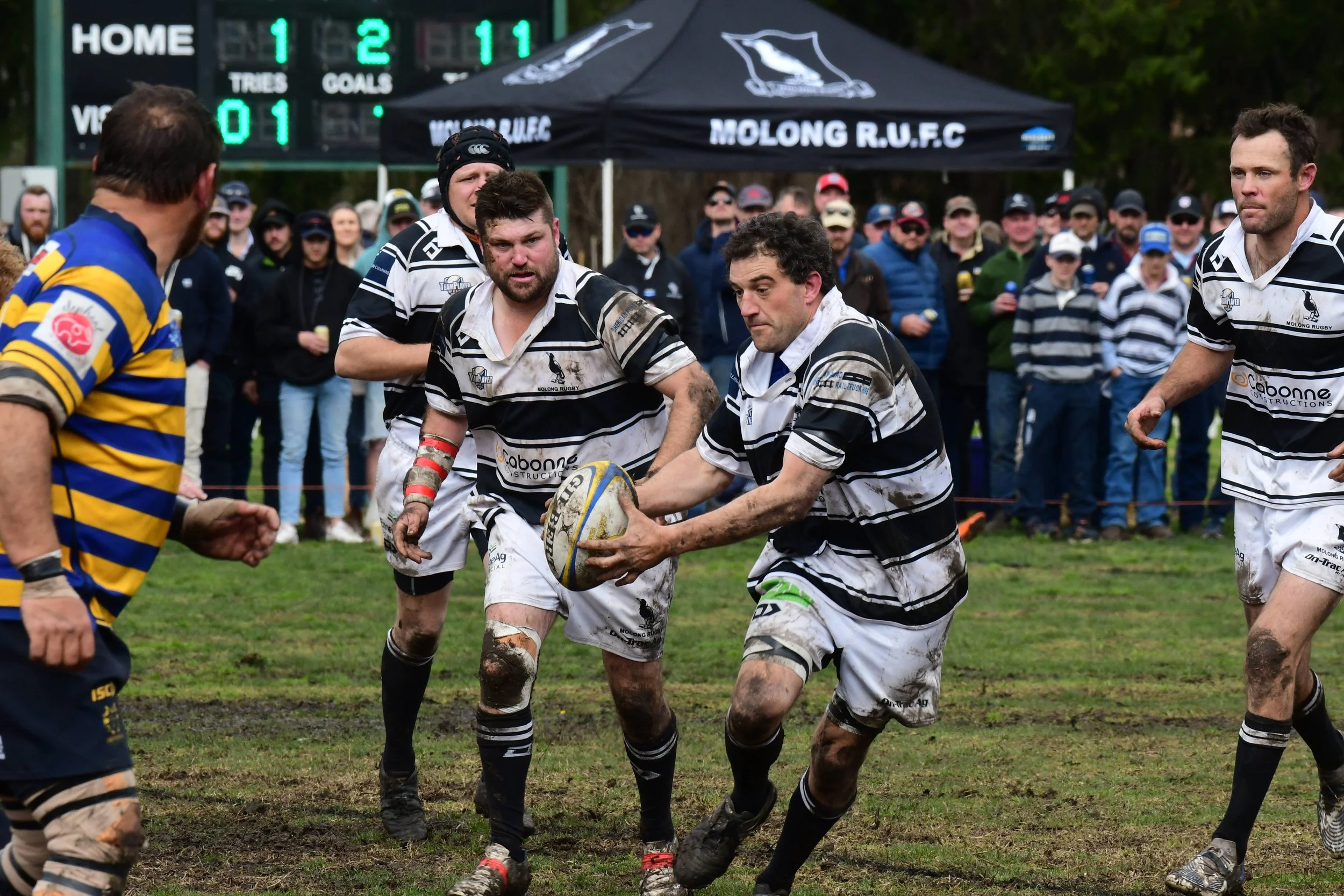 HOME OF THE MOLONG MAGPIES RUGBY CLUB