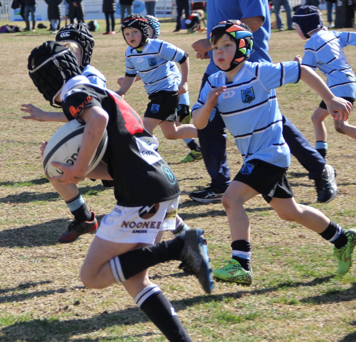 JUNIORS — HOME OF THE MOLONG MAGPIES RUGBY CLUB