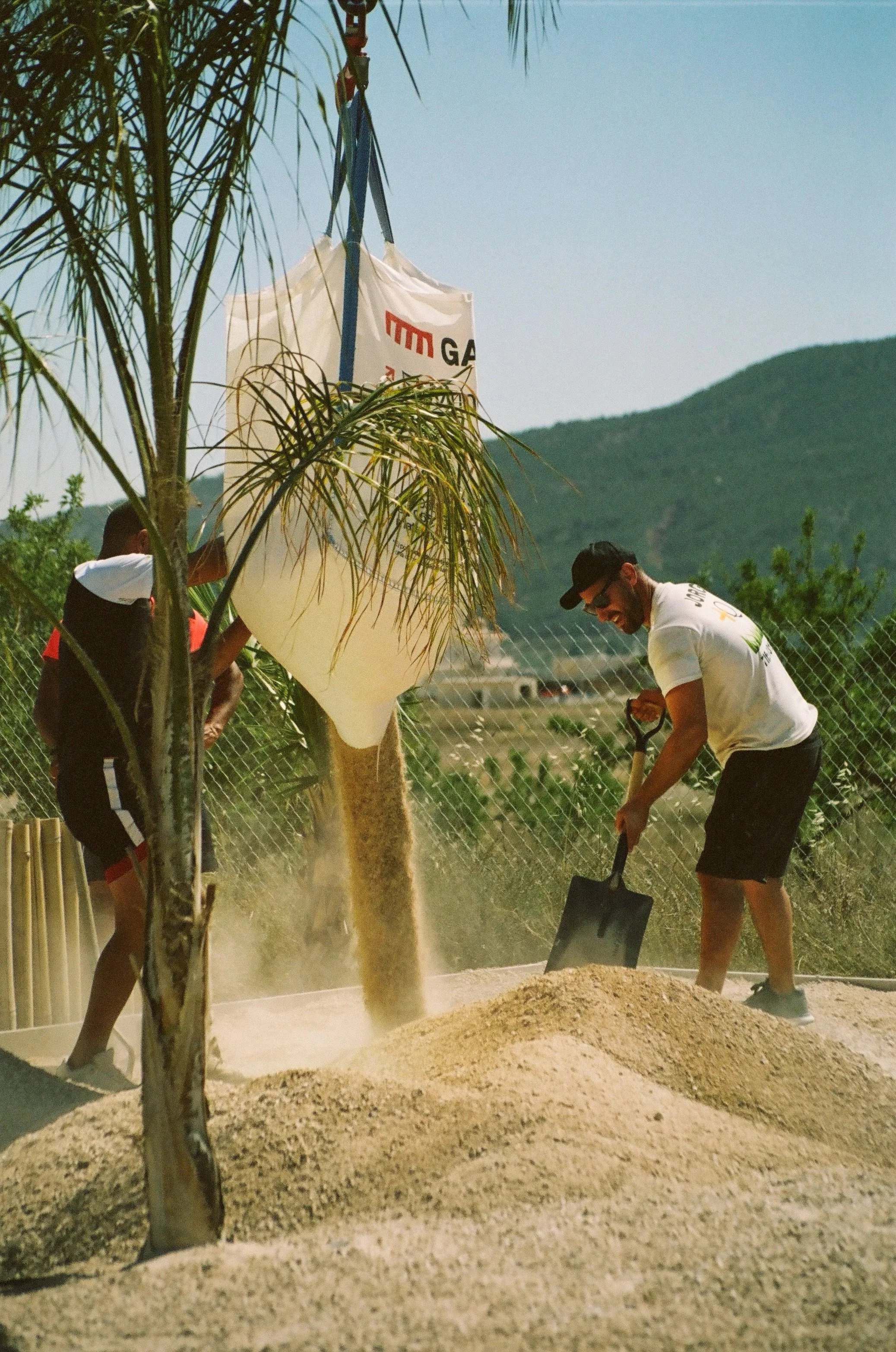 España | Pinoso | Analogue