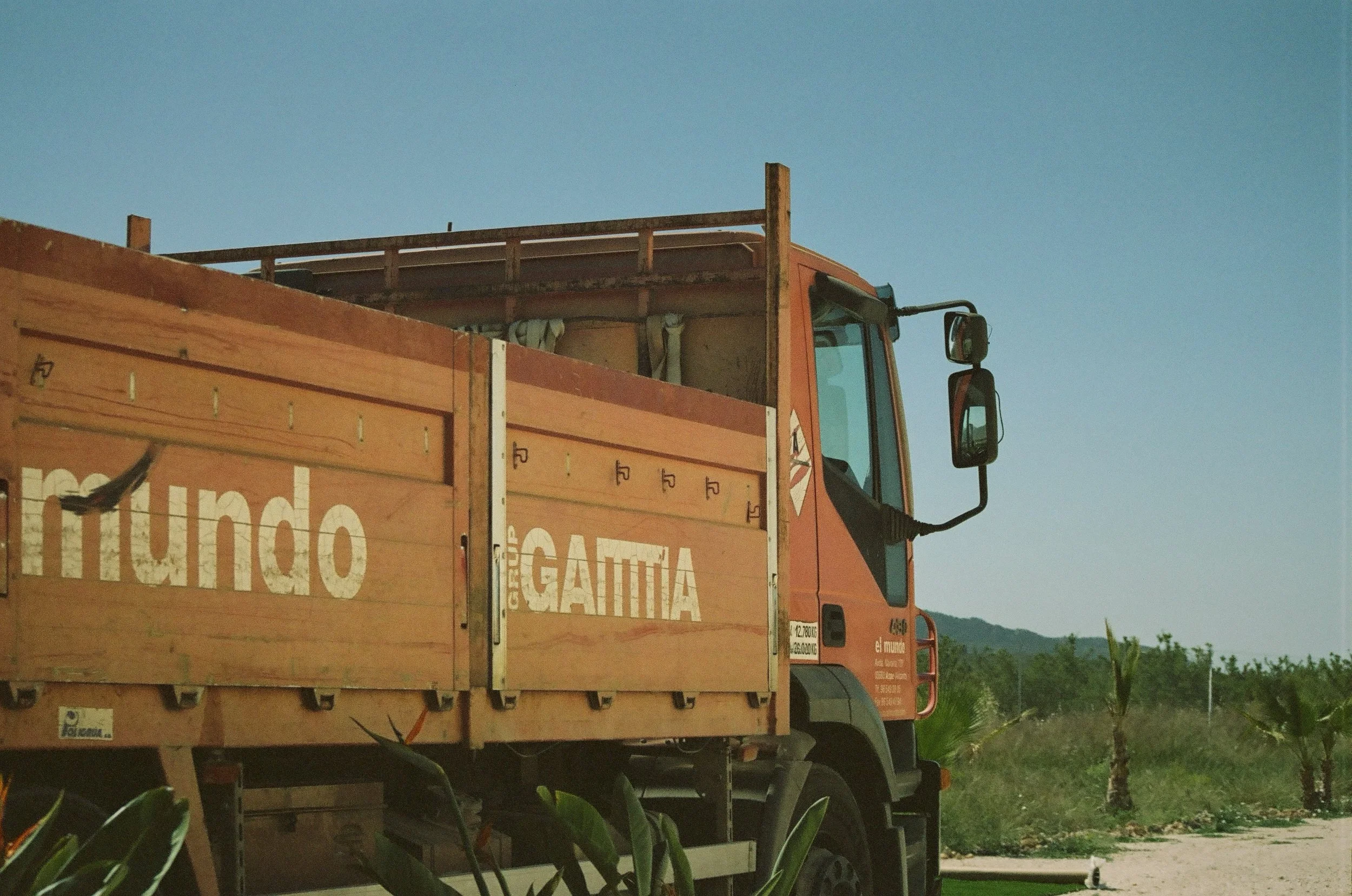 España | Pinoso | Analogue