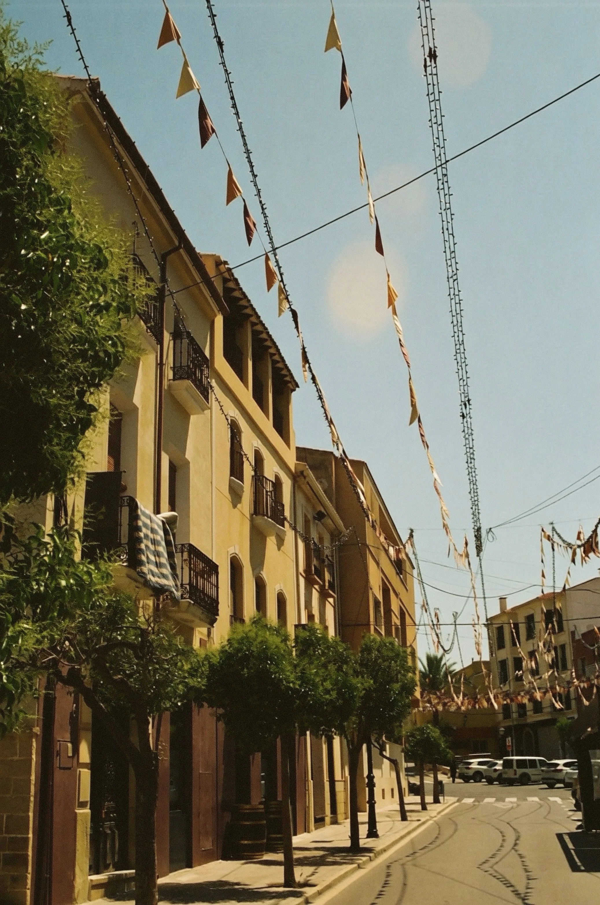 España | Pinoso | Analogue