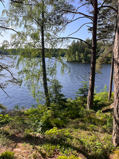 Bildschirmfoto 2025-07-30 um 16.57.16.png