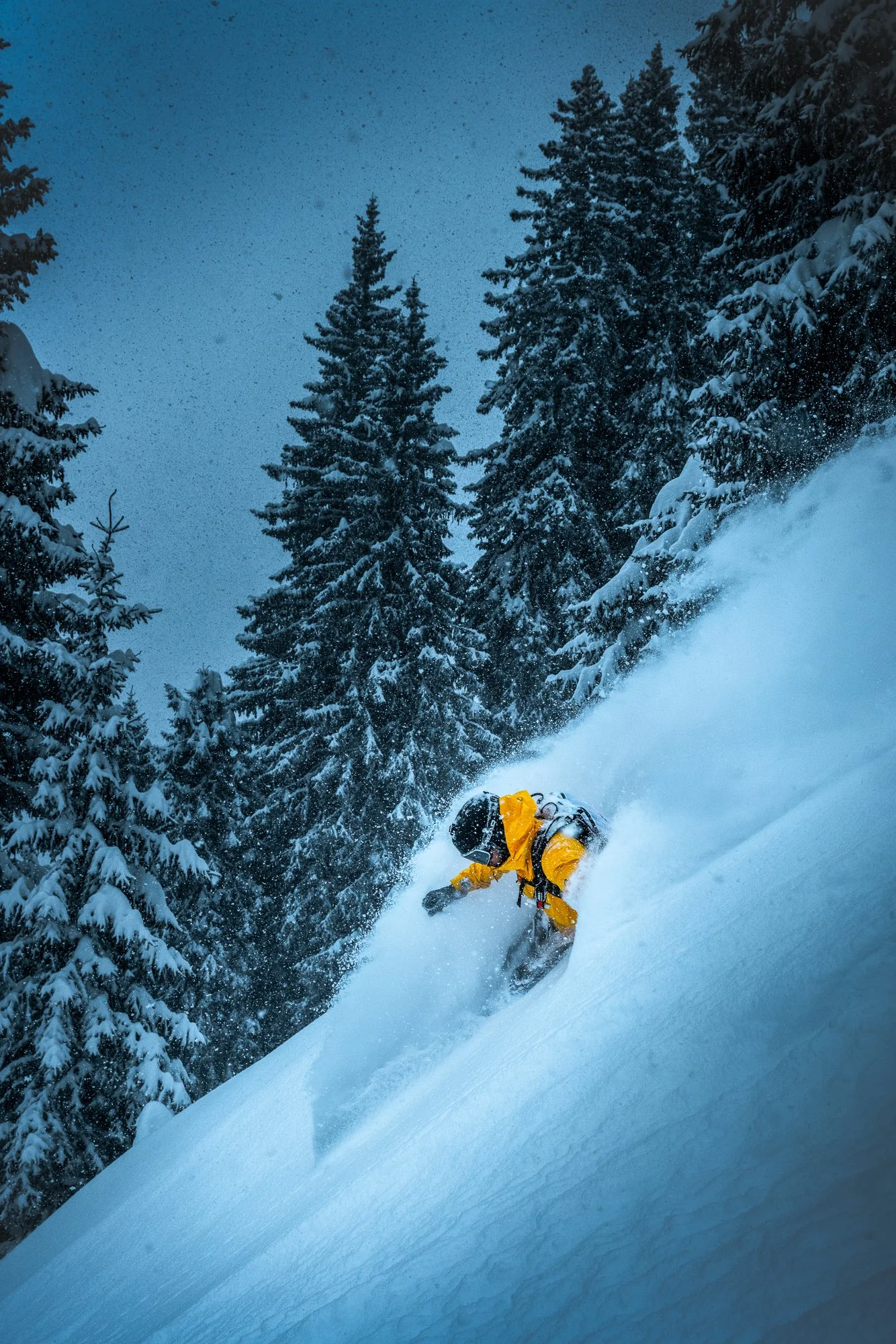 #118 skiing sonnenkopf