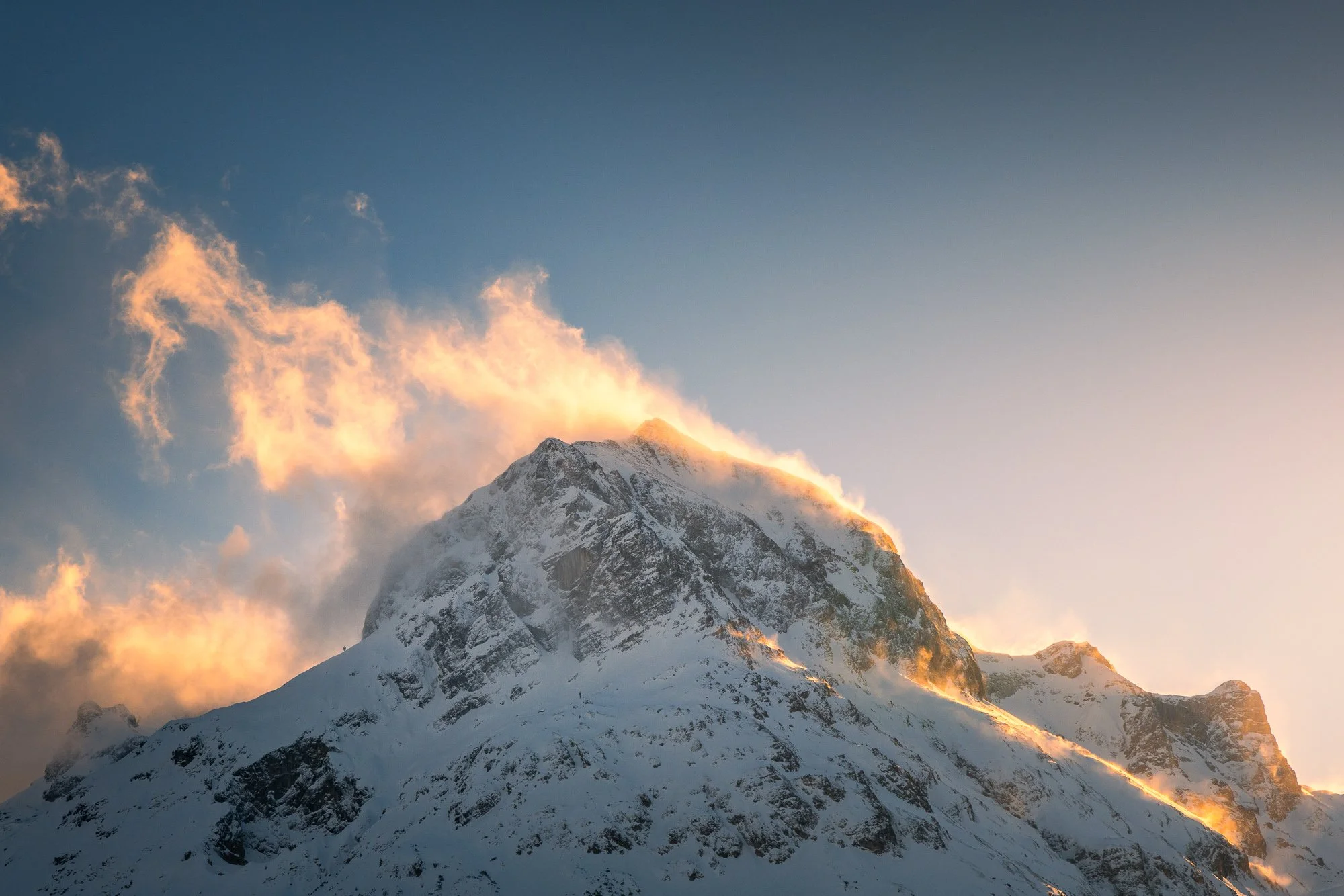 #101 omeshorn