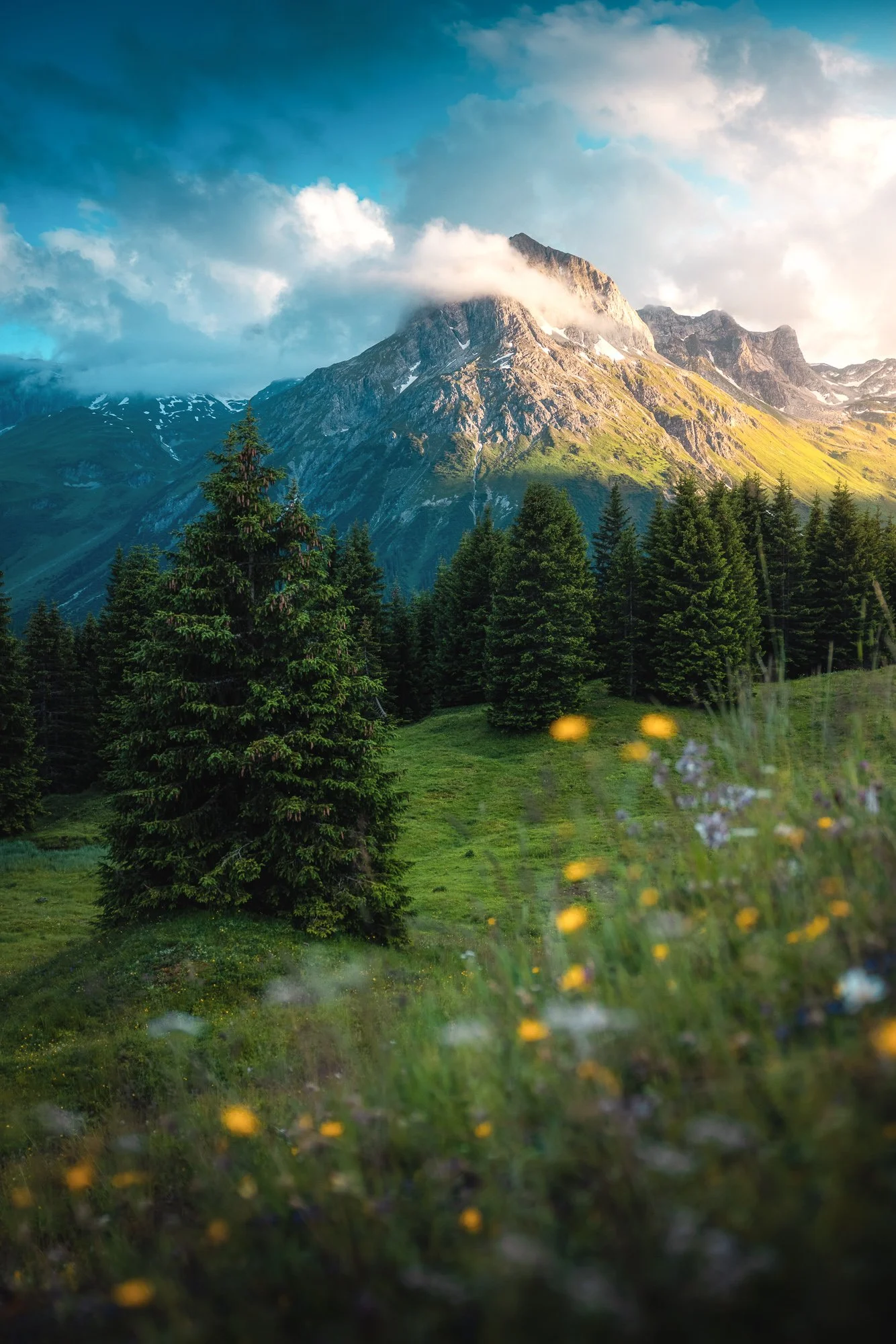 #131 omeshorn