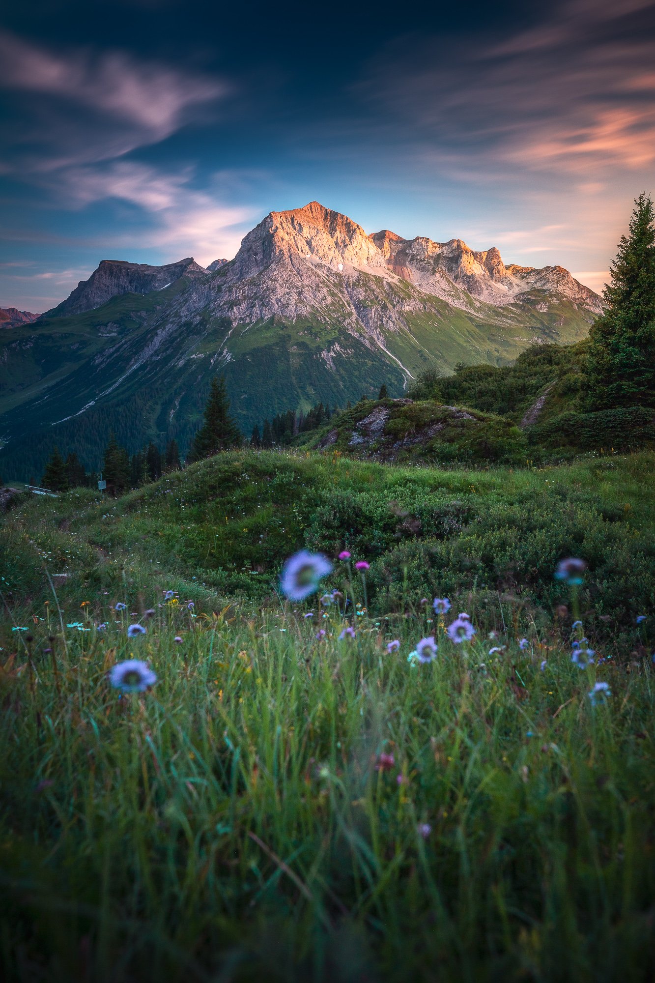 #80-omeshorn