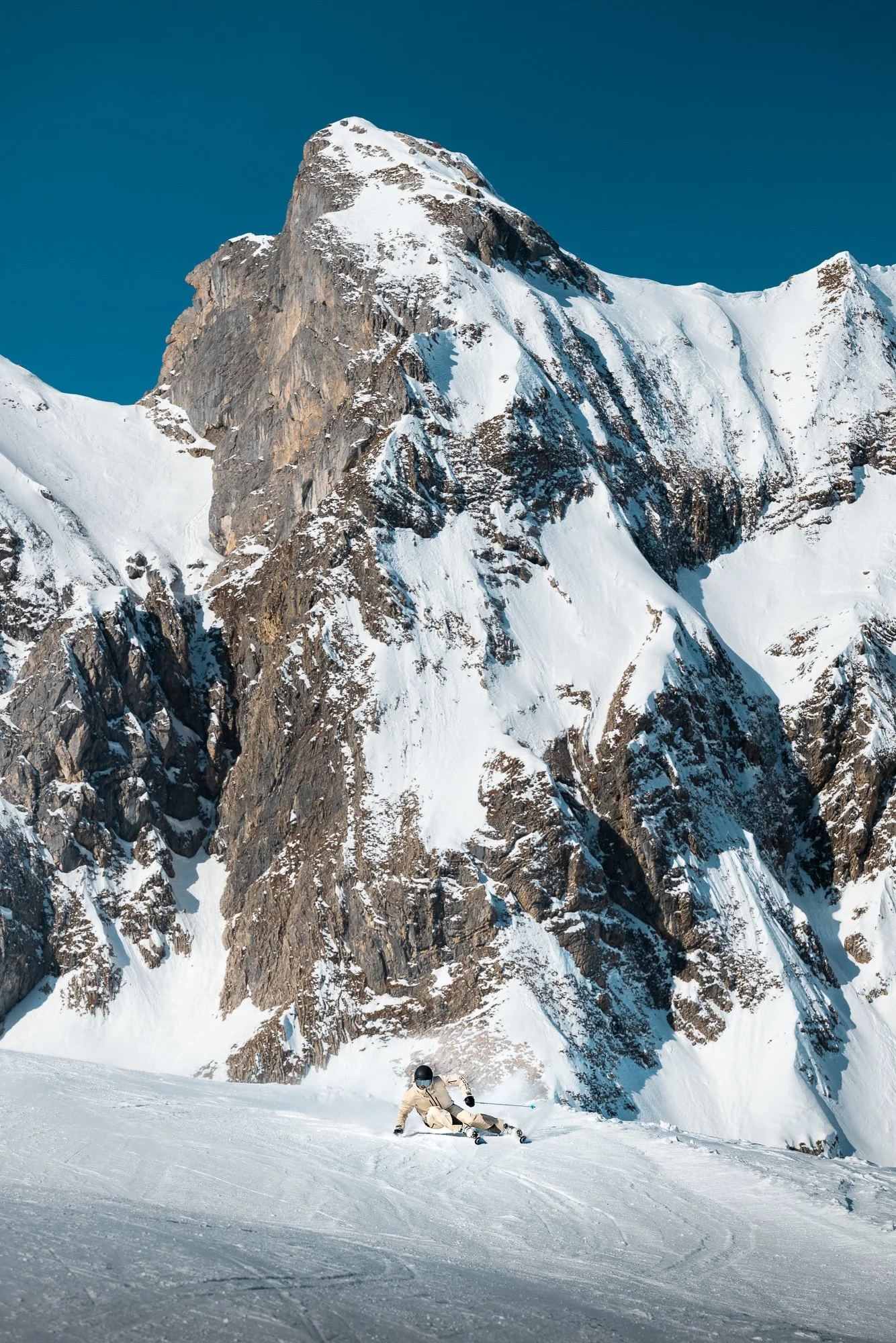 #85-omeshorn