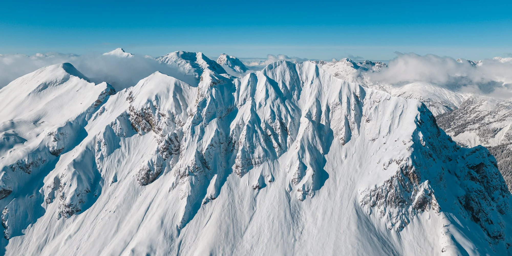 #109 omeshorn