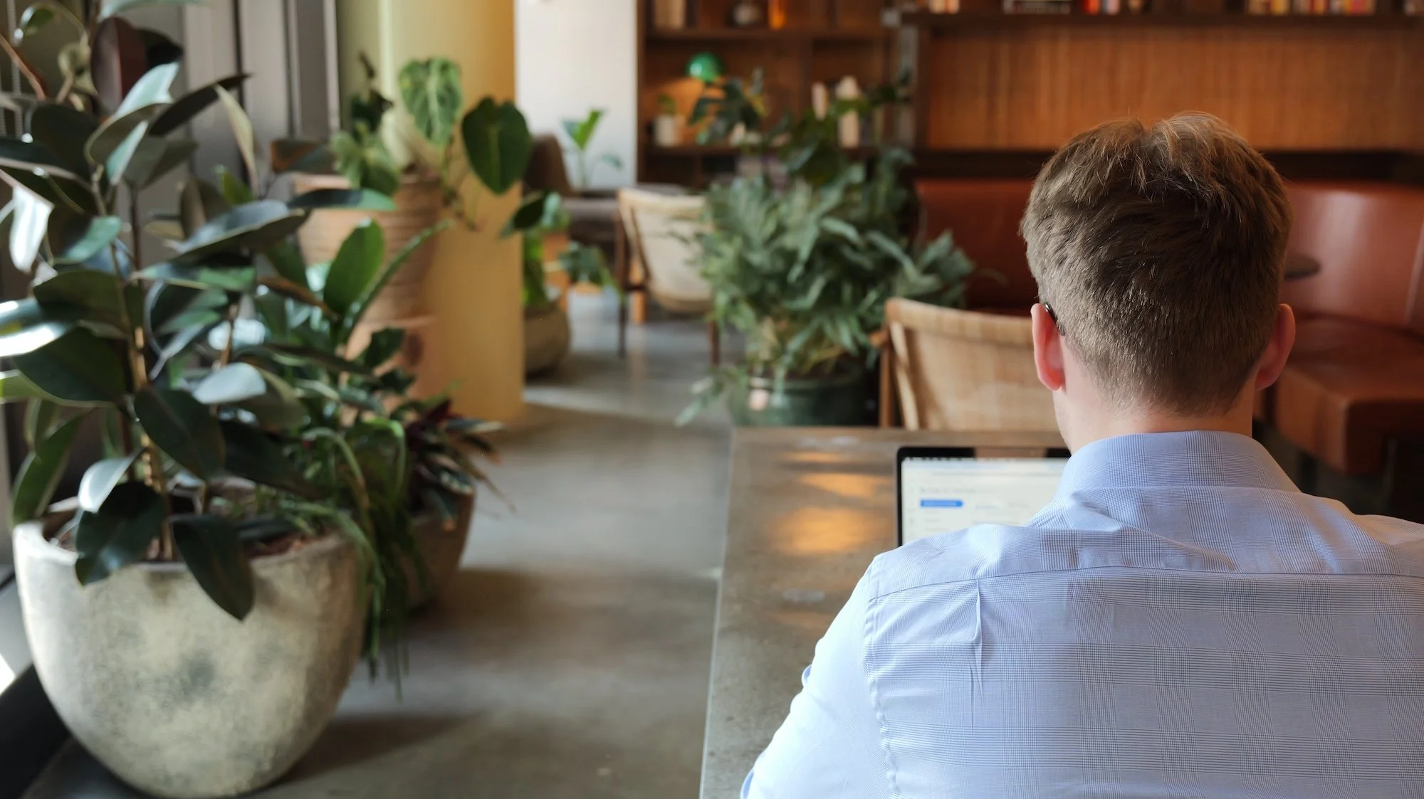 A man with short brown hair wearing a light blue shirt working on a laptop in a cozy coffee shop or cafe with multiple large potted plants and wood shelves in the background.