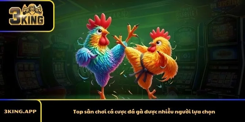 Top sân chơi cá cược đá gà được nhiều người lựa chọn