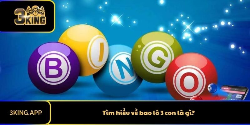 Tìm hiểu về bao lô 3 con là gì?