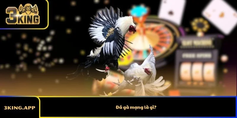 Đá gà mạng là gì?