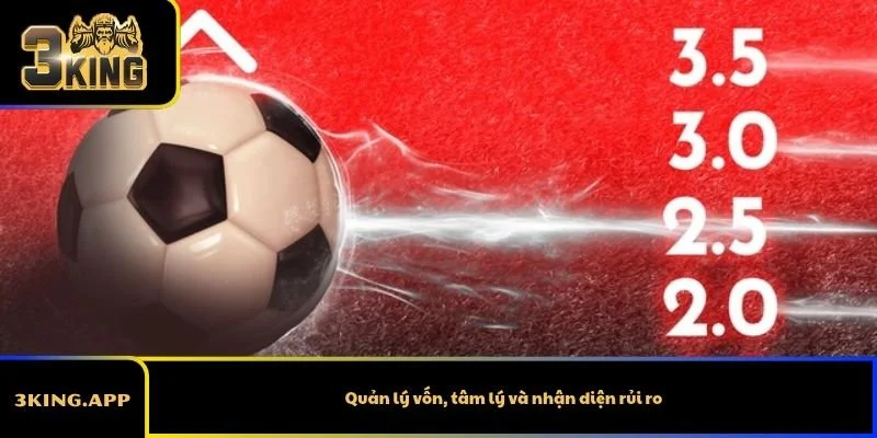 Quản lý vốn, tâm lý và nhận diện rủi ro