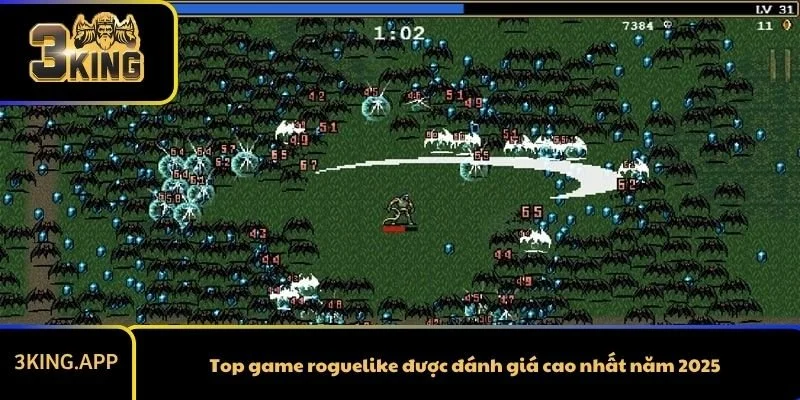 Top game roguelike được đánh giá cao nhất