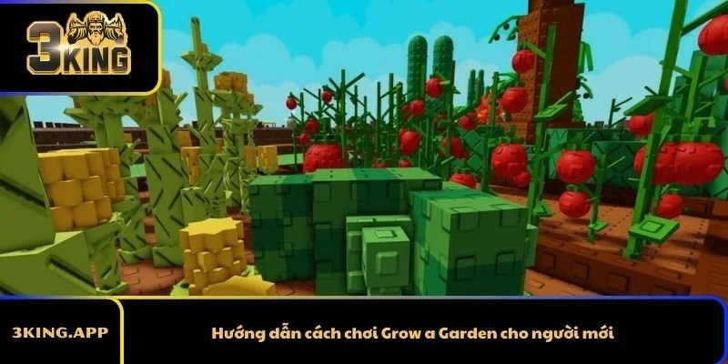 Hướng dẫn cách chơi Grow a Garden cho người mới