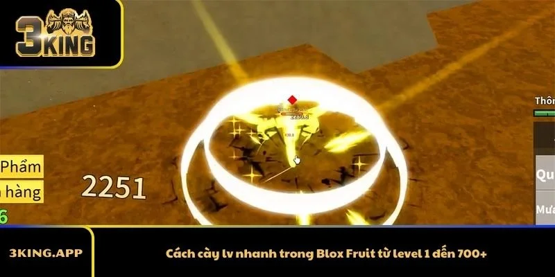 Cách cày lv nhanh trong Blox Fruit từ level 1 đến 700+