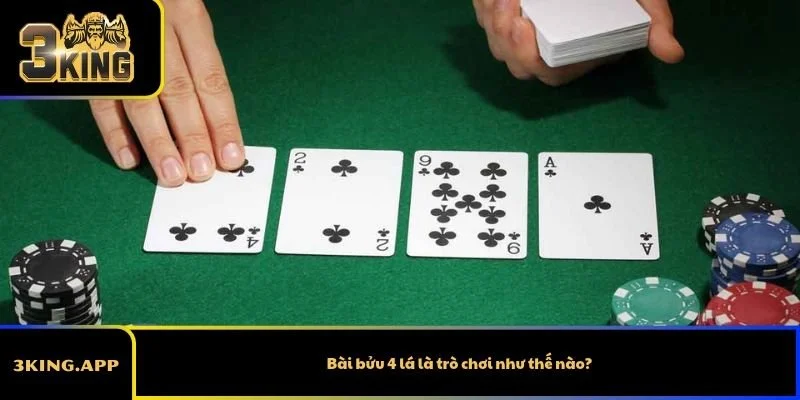 Bài bửu 4 lá là trò chơi như thế nào?