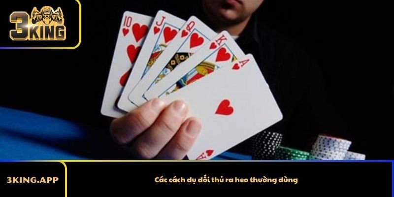 Các cách dụ đối thủ ra heo thường dùng