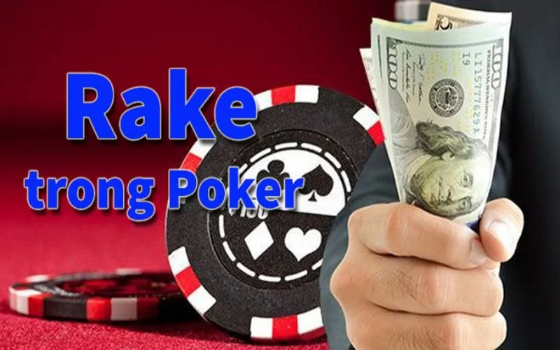 Nhận định từ các chuyên gia về Rake Poker là gì