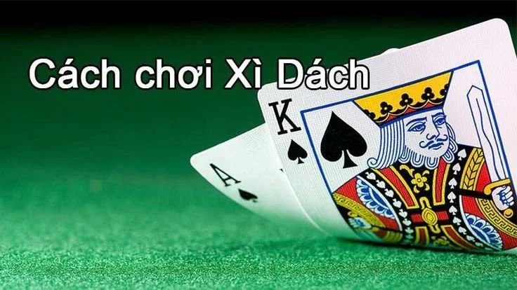 Cách Chơi Xì Dách Dễ Hiểu Nhất 2024