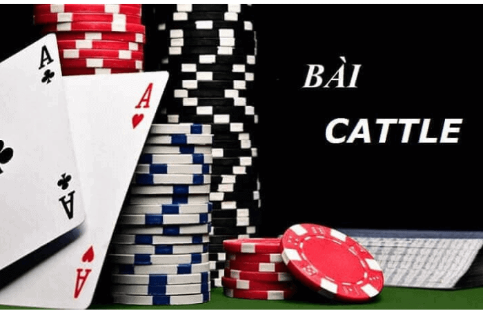 Cách Chơi Cát Tê Chi Tiết Nhất 2024